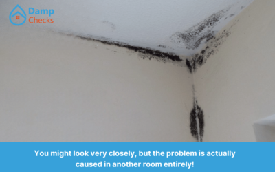 Stop Damp & Mould in Your Home Permanently
