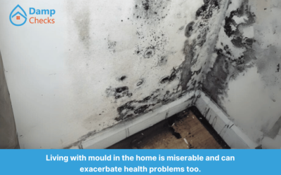 How Paying for a Damp and Mould Survey Can Save You Money