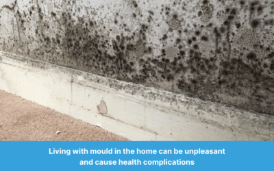 What Causes Mould and How to Prevent It