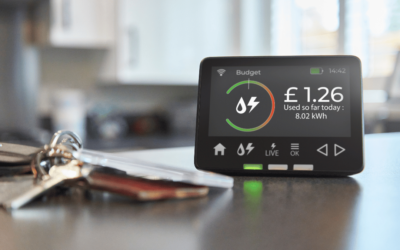 Can We Trust Electronic Moisture Meters?